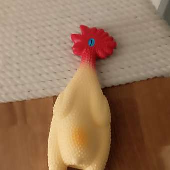 Игрушка для собак Triol Петушок 23см: отзыв пользователя. Зоомагазин Зоозавр