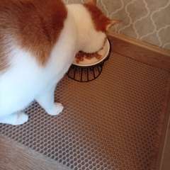 Фото отзыва 10803369