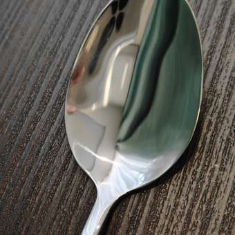 Набор столовых приборов "ПЕГАС" LARA LR10-28/24: отзыв пользователя Детский Мир