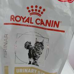 Фото отзыва 11002002