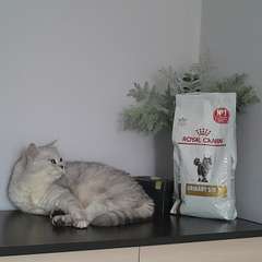 Фото отзыва 11024870