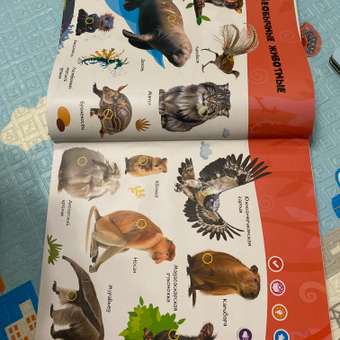 Комплект говорящих книжек BertToys Большие Нажималки: Я и мир вокруг + Животные: отзыв пользователя Детский Мир