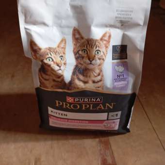 Корм сухой для котят PRO PLAN DELICATE DIGESTION 1.5 кг с индейкой: отзыв пользователя. Зоомагазин Зоозавр