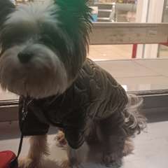 Фото отзыва 10533750