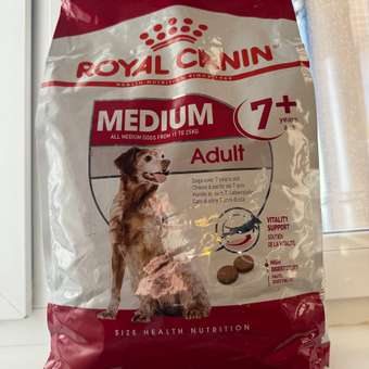 Корм ROYAL CANIN 4кг для пожилых собак средних размеров 11-25кг: отзыв пользователя. Зоомагазин Зоозавр