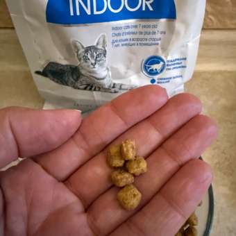 Корм сухой для кошек ROYAL CANIN Indoor 400г пожилых кошек постоянно проживающих в помещении: отзыв пользователя. Зоомагазин Зоозавр
