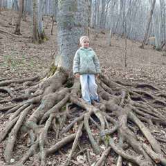 Фото отзыва 11311003