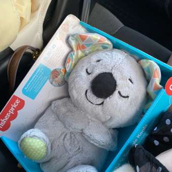 Игрушка Fisher Price Коала: отзыв пользователя Детский Мир