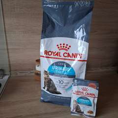 Фото отзыва 10693212