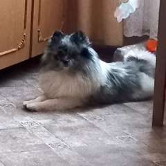 Фото отзыва 10762157