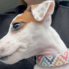 Фото отзыва 10287844