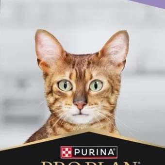 Корм сухой для котят PRO PLAN DELICATE DIGESTION 1.5 кг с индейкой: отзыв пользователя. Зоомагазин Зоозавр