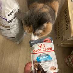 Фото отзыва 11030132