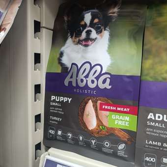 Комбинезон-дождевик для собак и кошек Зоозавр: отзыв пользователя. Зоомагазин Зоозавр