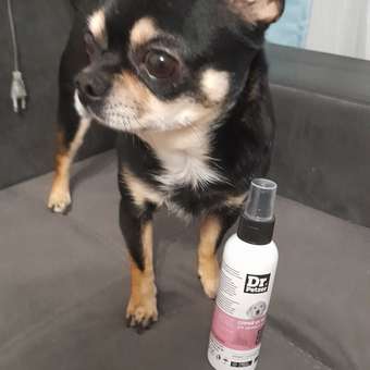 Спрей для щенков и собак Dr.Petzer ликвидатор меток и запаха 150мл: отзыв пользователя. Зоомагазин Зоозавр