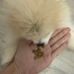 Фото отзыва 10758701