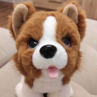 Мягкая игрушка Мульти Пульти собачка Корги: отзыв пользователя Детский Мир