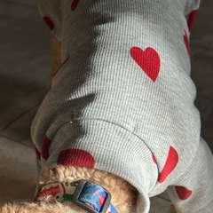 Фото отзыва 10298376