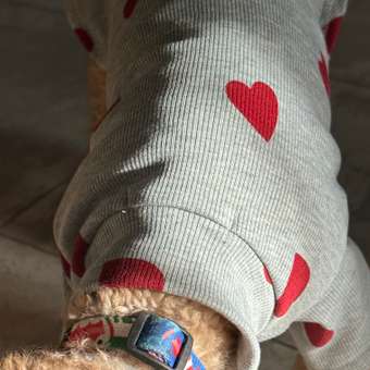 Водолазка для собак Зоозавр: отзыв пользователя. Зоомагазин Зоозавр