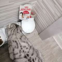 Фото отзыва 10618090