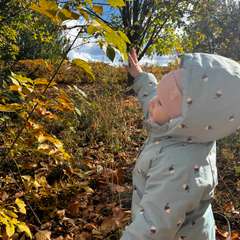 Фото отзыва 10692628