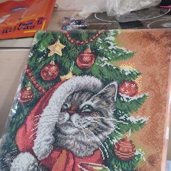 Алмазная мозаика Art on Canvas С новым годом в ассортименте: отзыв пользователя Детский Мир