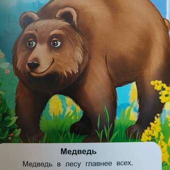 Книга Феникс Премьер Лесные животные. Стихи для малышей: отзыв пользователя Детский Мир