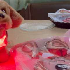 Видео отзыва 11168049