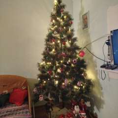 Фото отзыва 10905620