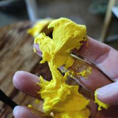 Фото отзыва 10572954