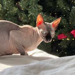 Фото отзыва 10953690