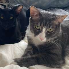 Фото отзыва 10984435