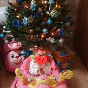 Ходунки Babyton Pink: отзыв пользователя Детский Мир
