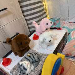 Фото отзыва 10862816