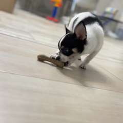 Фото отзыва 10459476