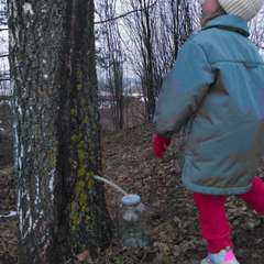 Фото отзыва 11258872