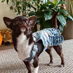 Фото отзыва 11078902