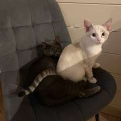 Фото отзыва 10964688