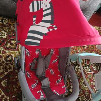Коляска прогулочная Babyton Zoo Red: отзыв пользователя ДетМир