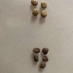 Фото отзыва 10594055