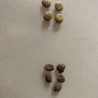 Корм для собак Carnica 0,4кг с индейкой для стерилизованных мелких пород сухой: отзыв пользователя. Зоомагазин Зоозавр