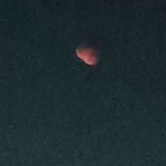 Фото отзыва 10612281