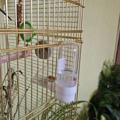 Фото отзыва 10146794