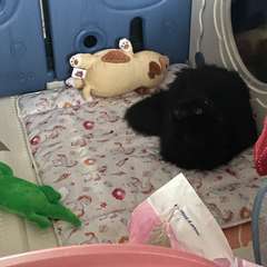 Фото отзыва 11216655