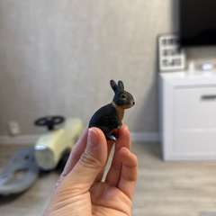 Фото отзыва 10542370