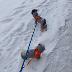 Фото отзыва 11013925