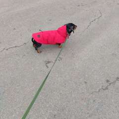 Фото отзыва 10747524