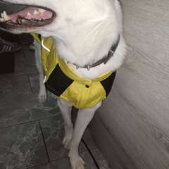 Фото отзыва 10636325