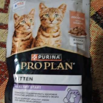 Корм влажный для котят PRO PLAN HEALTHY START 85г с лососем в соусе: отзыв пользователя. Зоомагазин Зоозавр