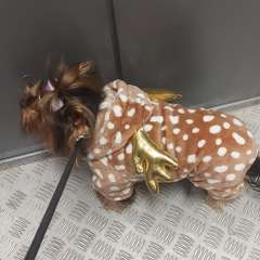 Фото отзыва 10499994